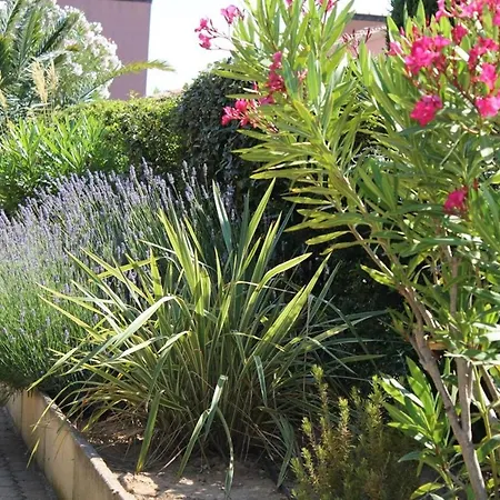 Appartamento Maison Mezzanine Avec Parking Privé Gn020-095 Gruissan